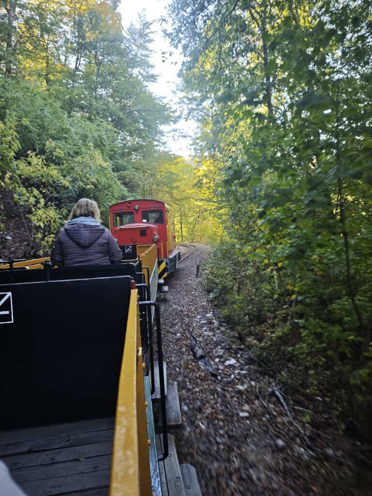 The forest train up the valley. The ride took about 15 minutes.